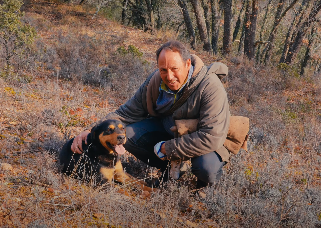 Buscando trufa silvestre con Alberto Pascual, recolector Laumont con más de 30 años de confianza