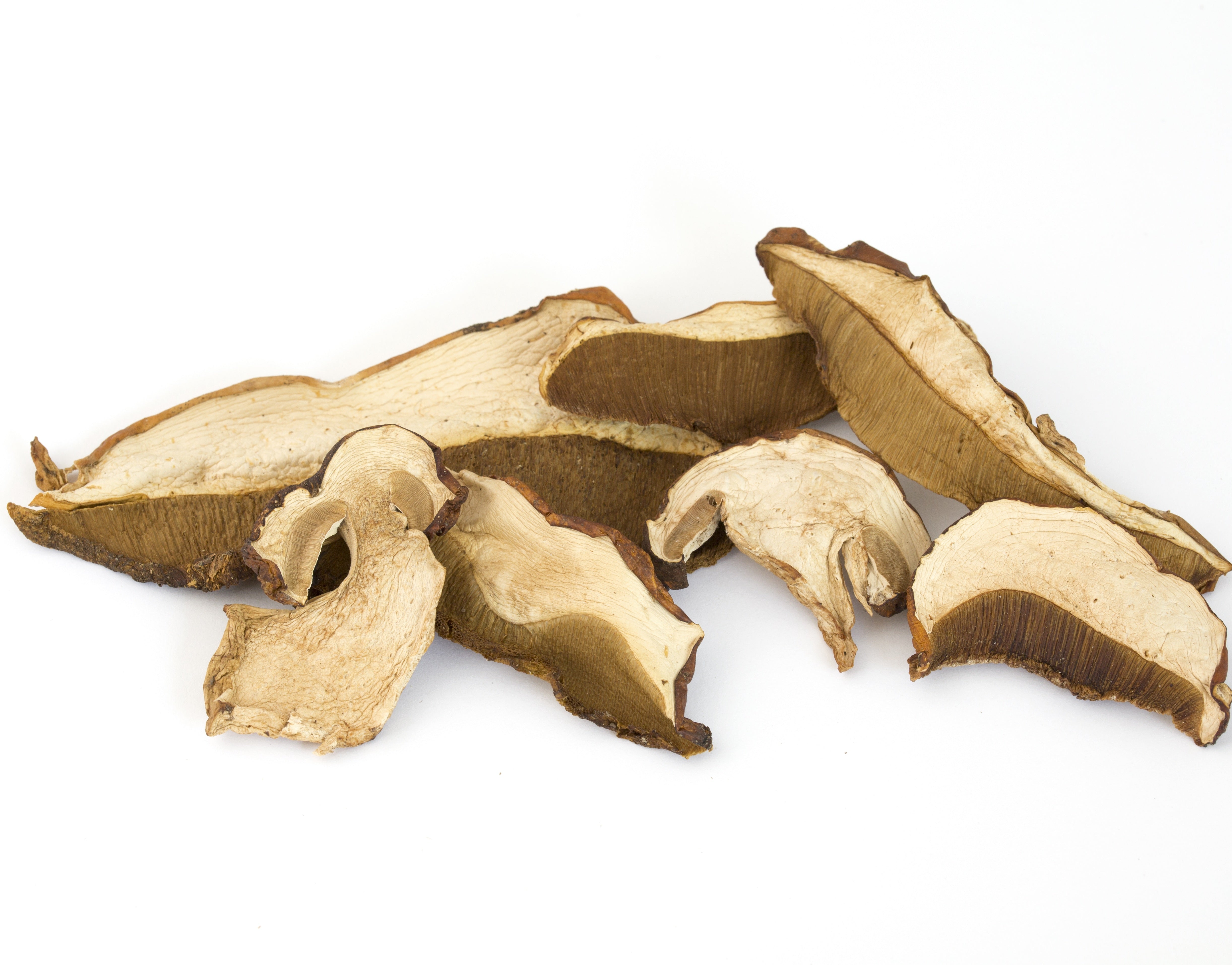Cep silvestre deshidratat