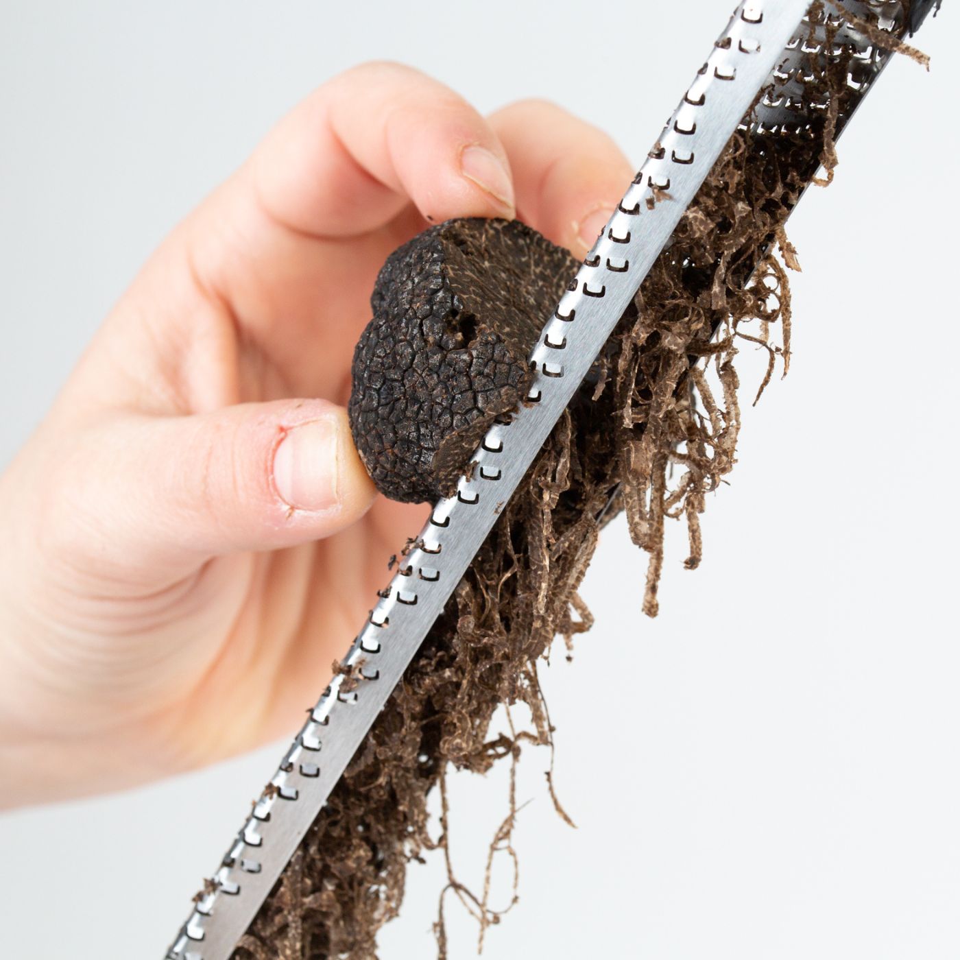 Rallador de Trufa Microplane