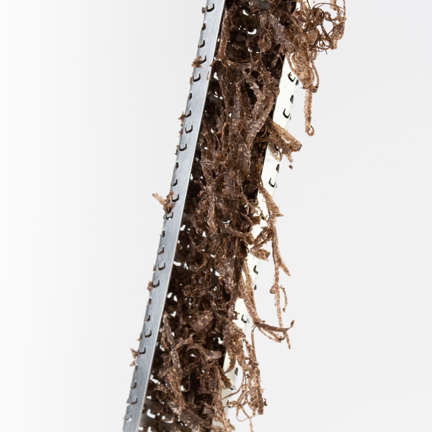 Rallador de Trufa Microplane