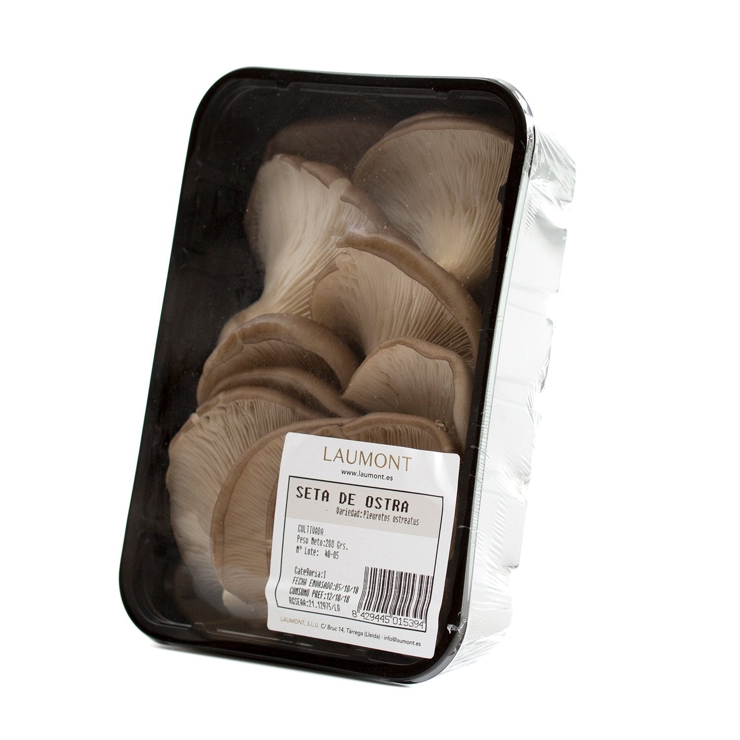 Gírgola/Seta cultivada extra Bandeja 300 g