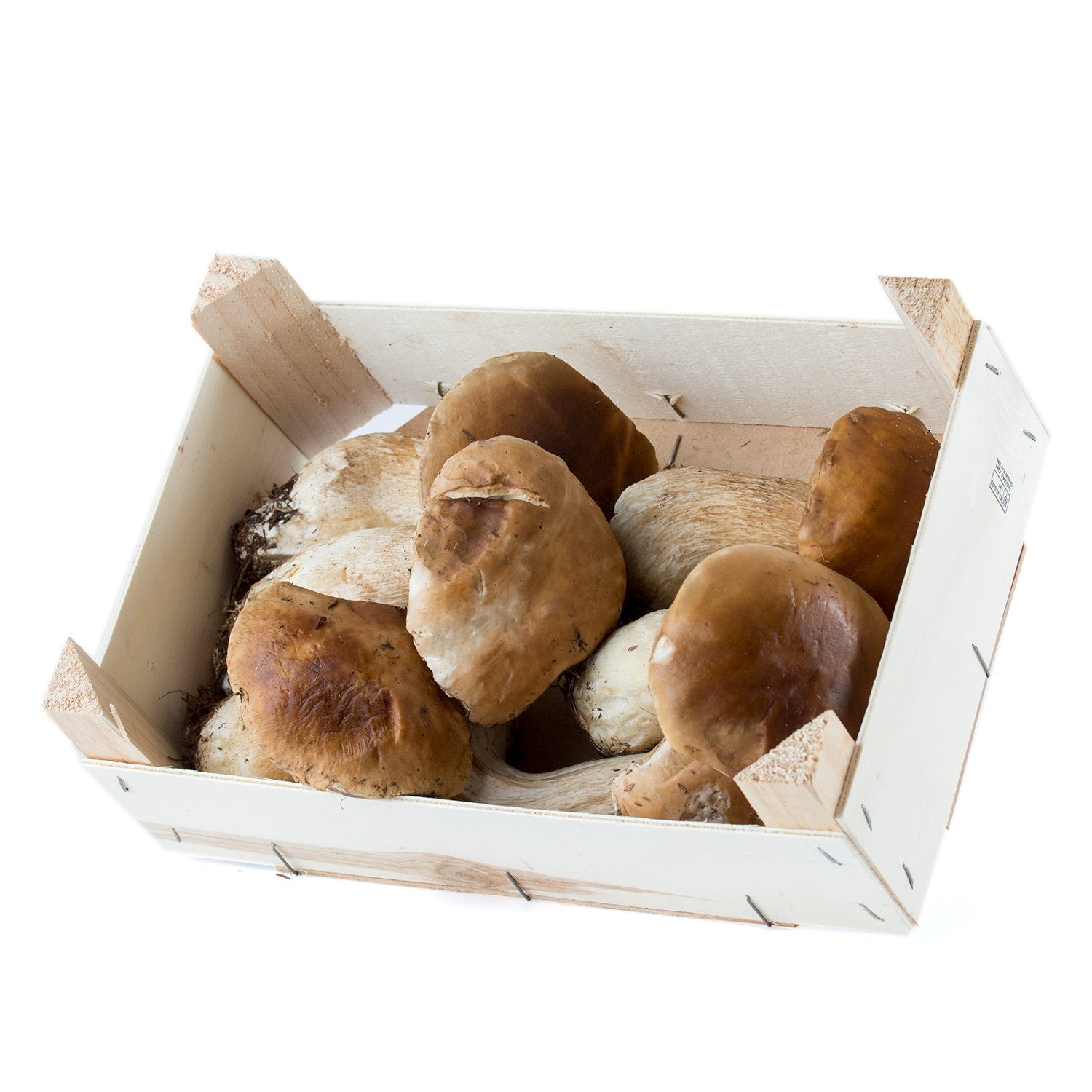Caja Boletus edulis - Hongos -Cep Frescos