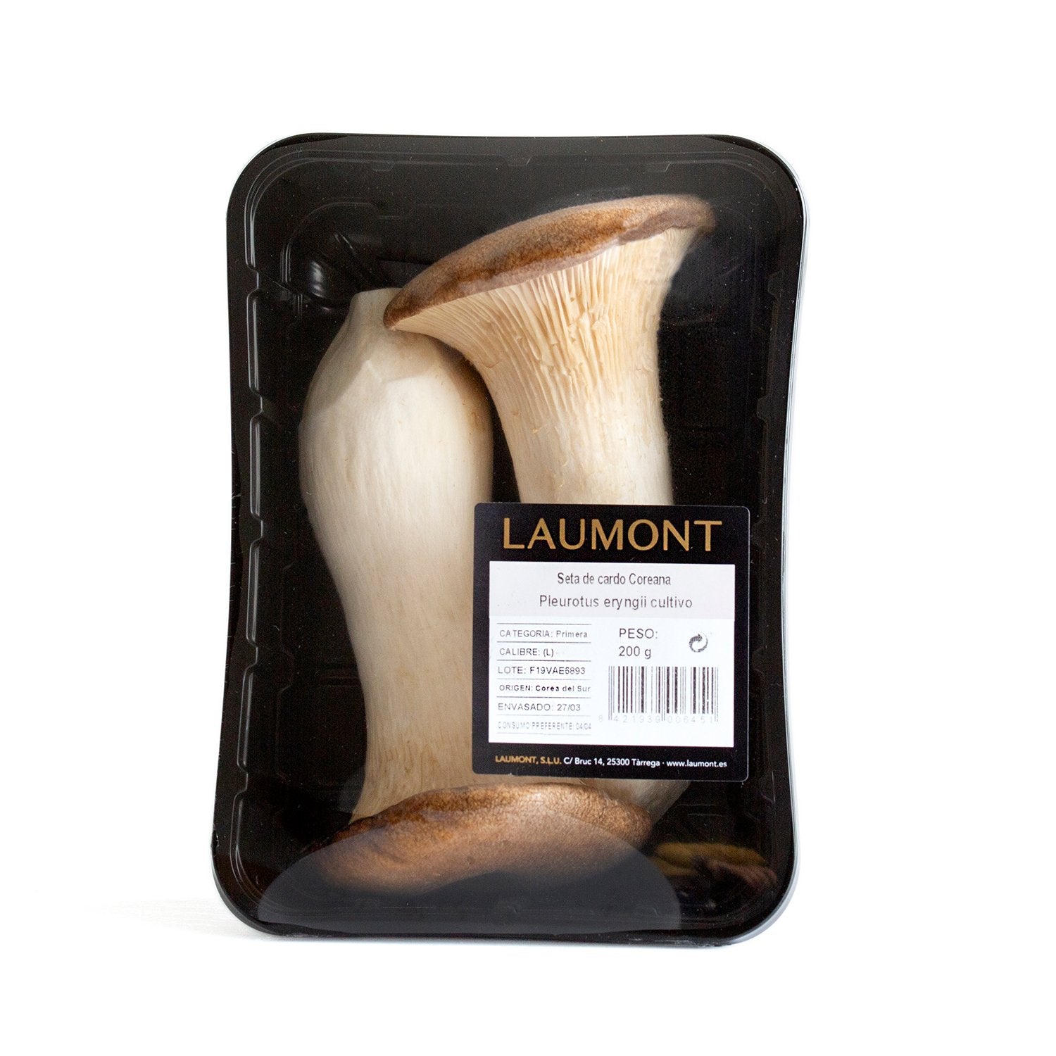 Seta de cardo Bandeja 200 g