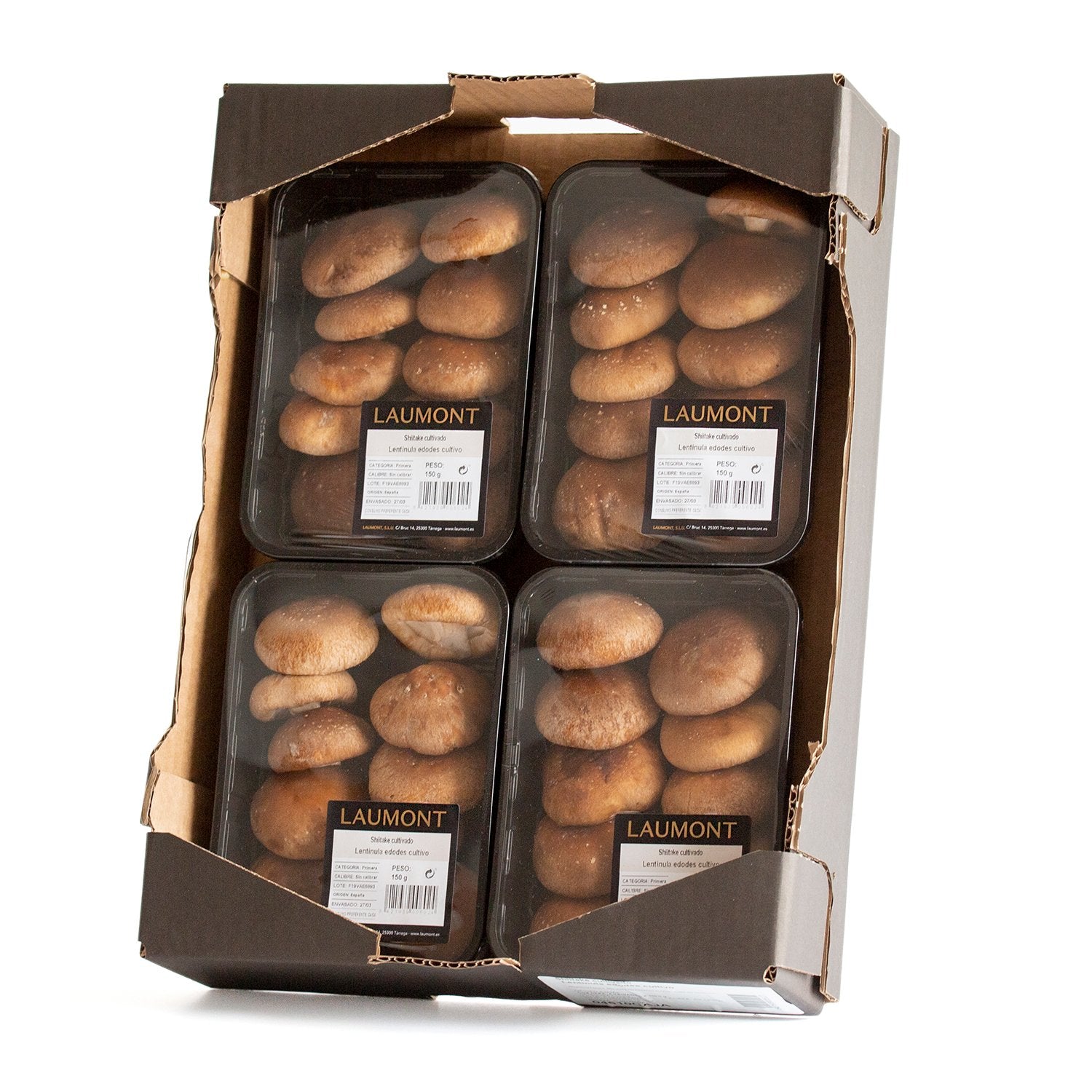 Caja Shiitake nacional Bandeja 150 g