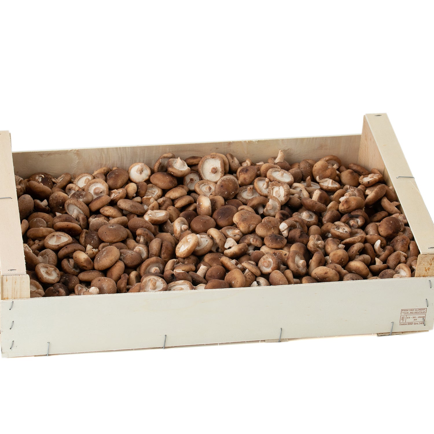 Fresc shitake collita Nacional