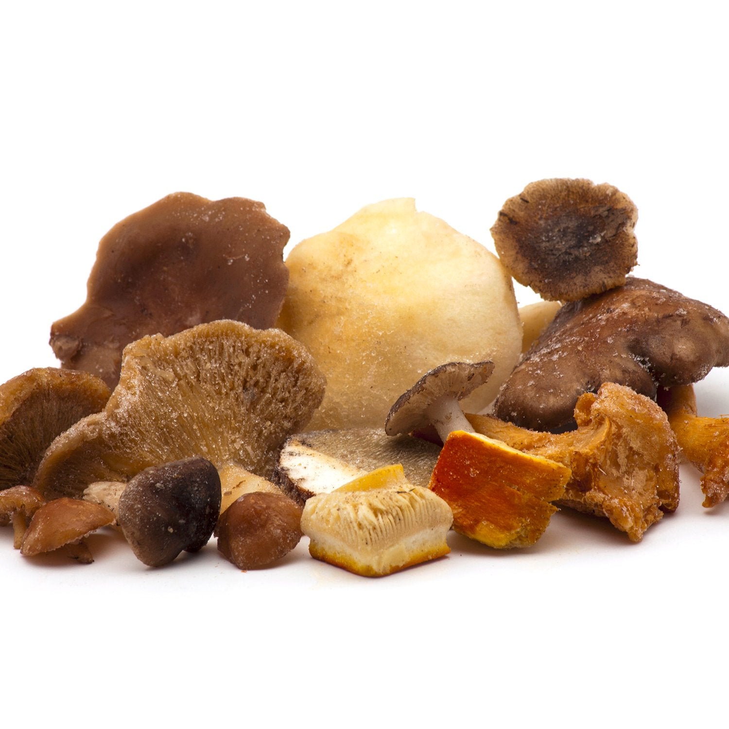 Barreja de bolets silvestres i de de cultiu (1kg)