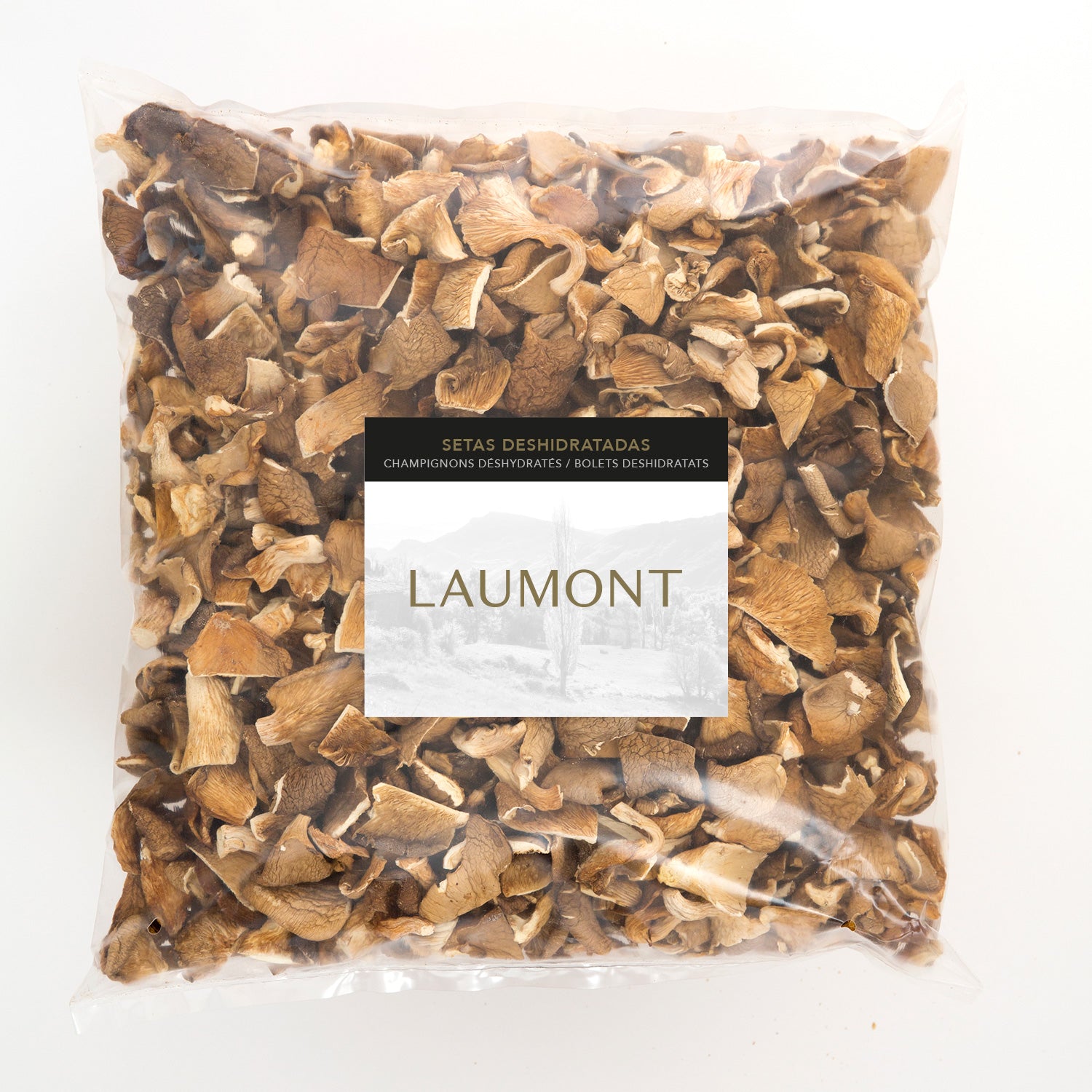 Seta de Ostra Deshidratada