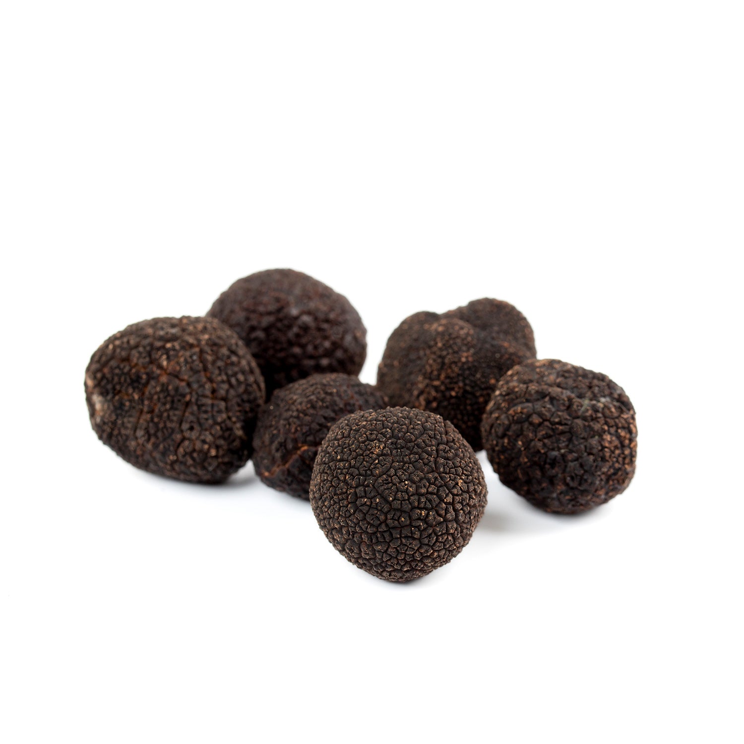 Tòfona negra - Tuber Melanosporum