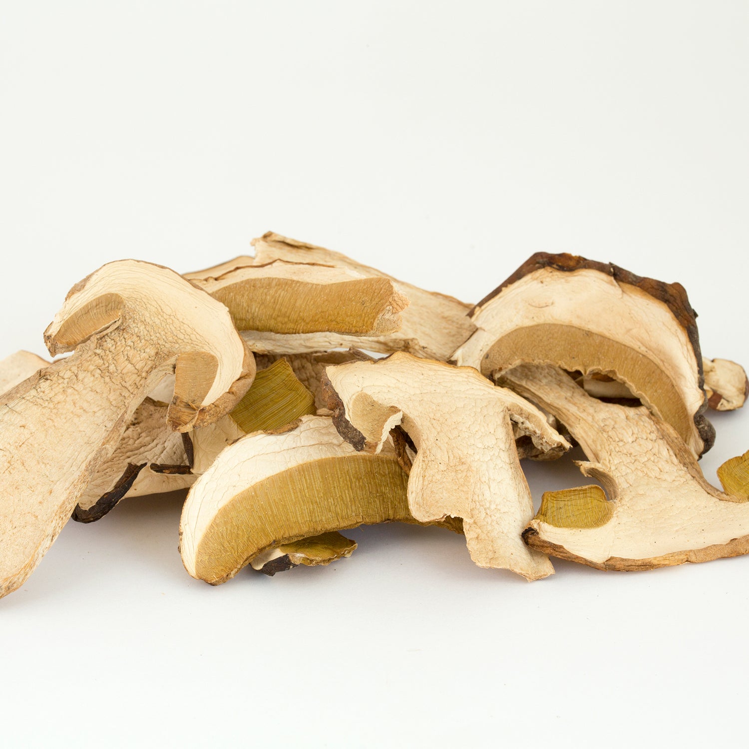 Boletus silvestre deshidratado