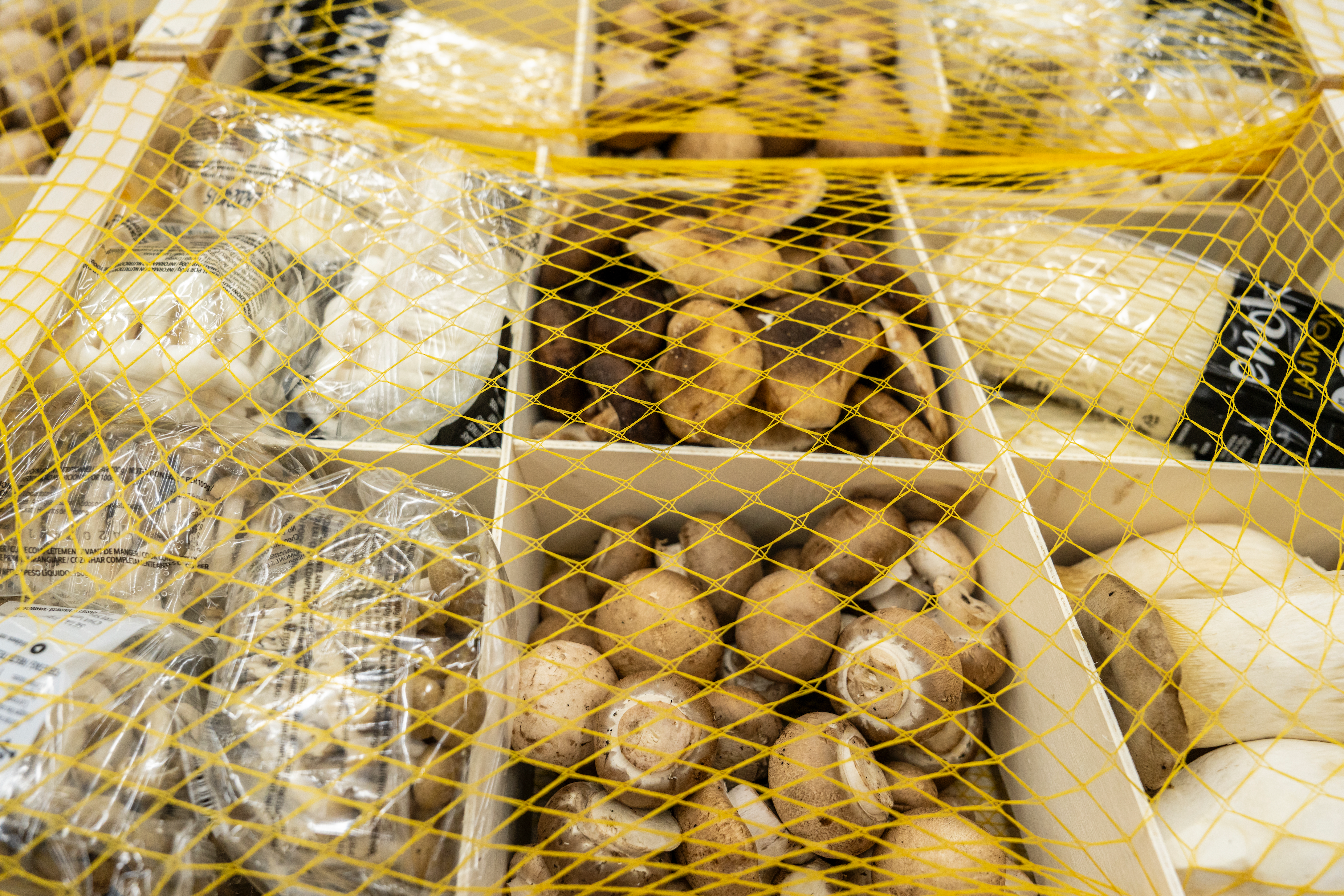 Mix de bolets de cultiu 3kg