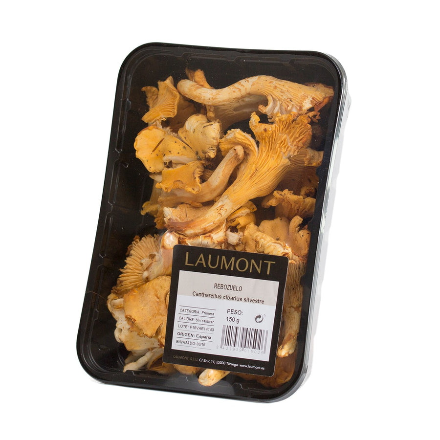 Rebozuelo silvestre nacional Bandeja 150 g