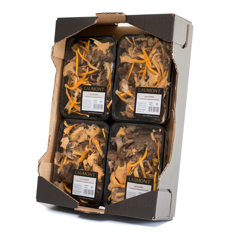 Caja Gula de monte silvestre (Lutecens) Bandeja 150 g
