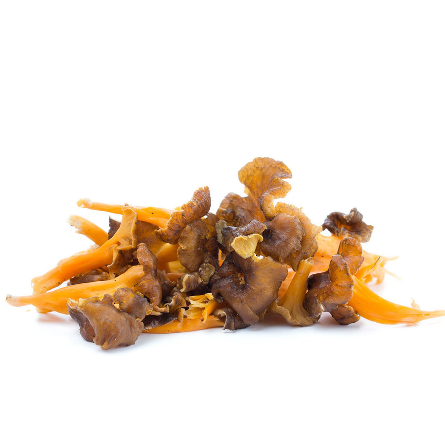 Gula de monte silvestre (Lutecens)