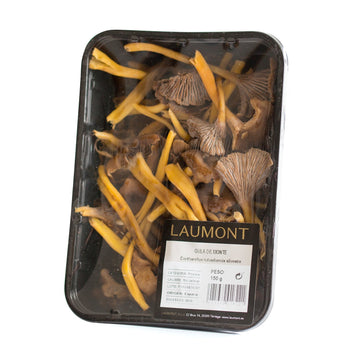 Angula de monte silvestre (Tubaeformis) Bandeja 150 g