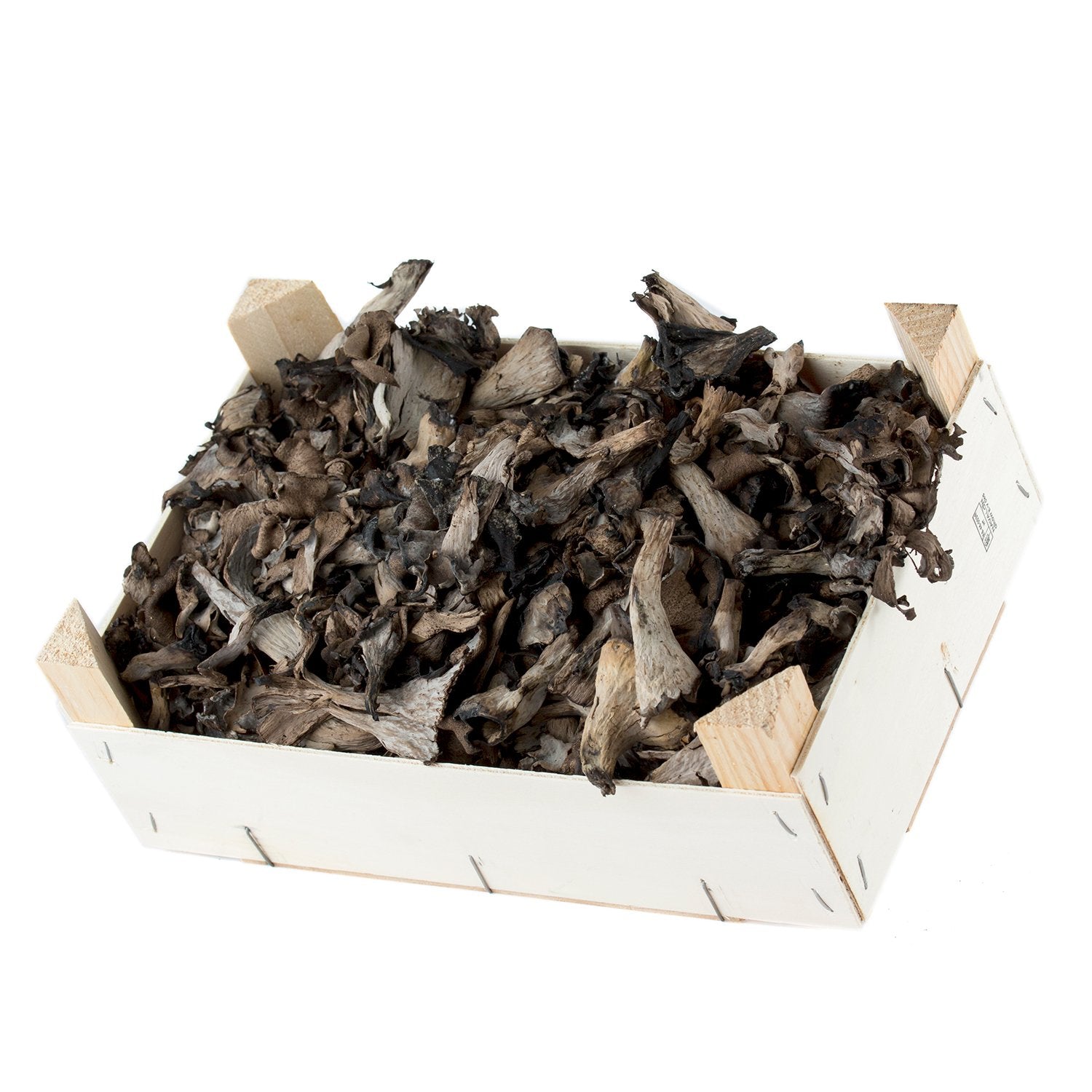 Trompeta de la mort silvestre