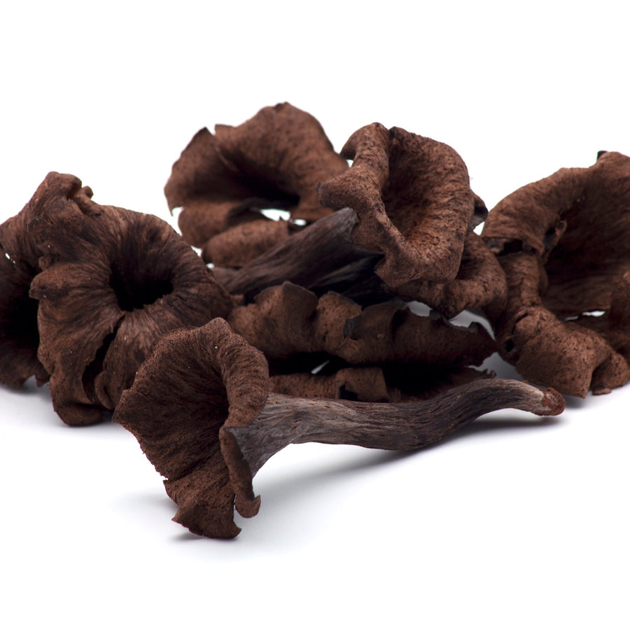 Trompeta de la muerte silvestre