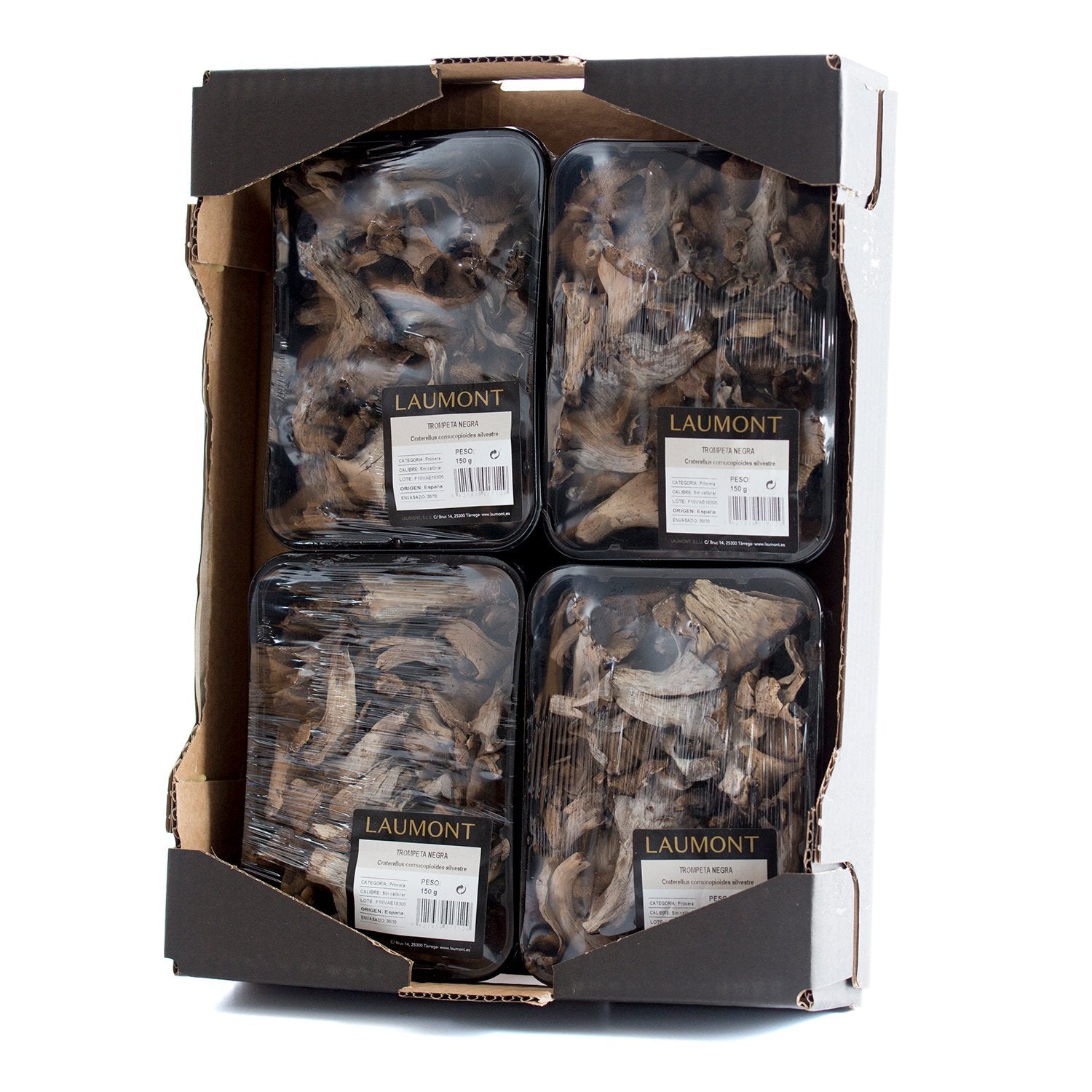 Caja trompeta de la muerte silvestre Bandeja 150 g