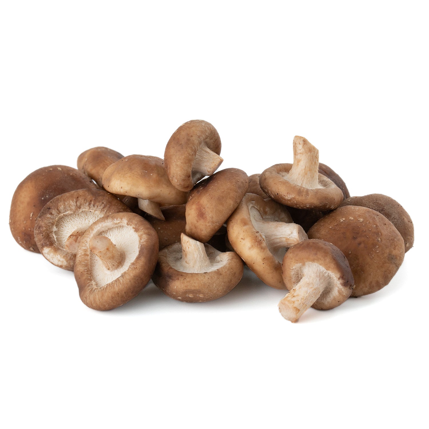 Fresc shitake collita Nacional