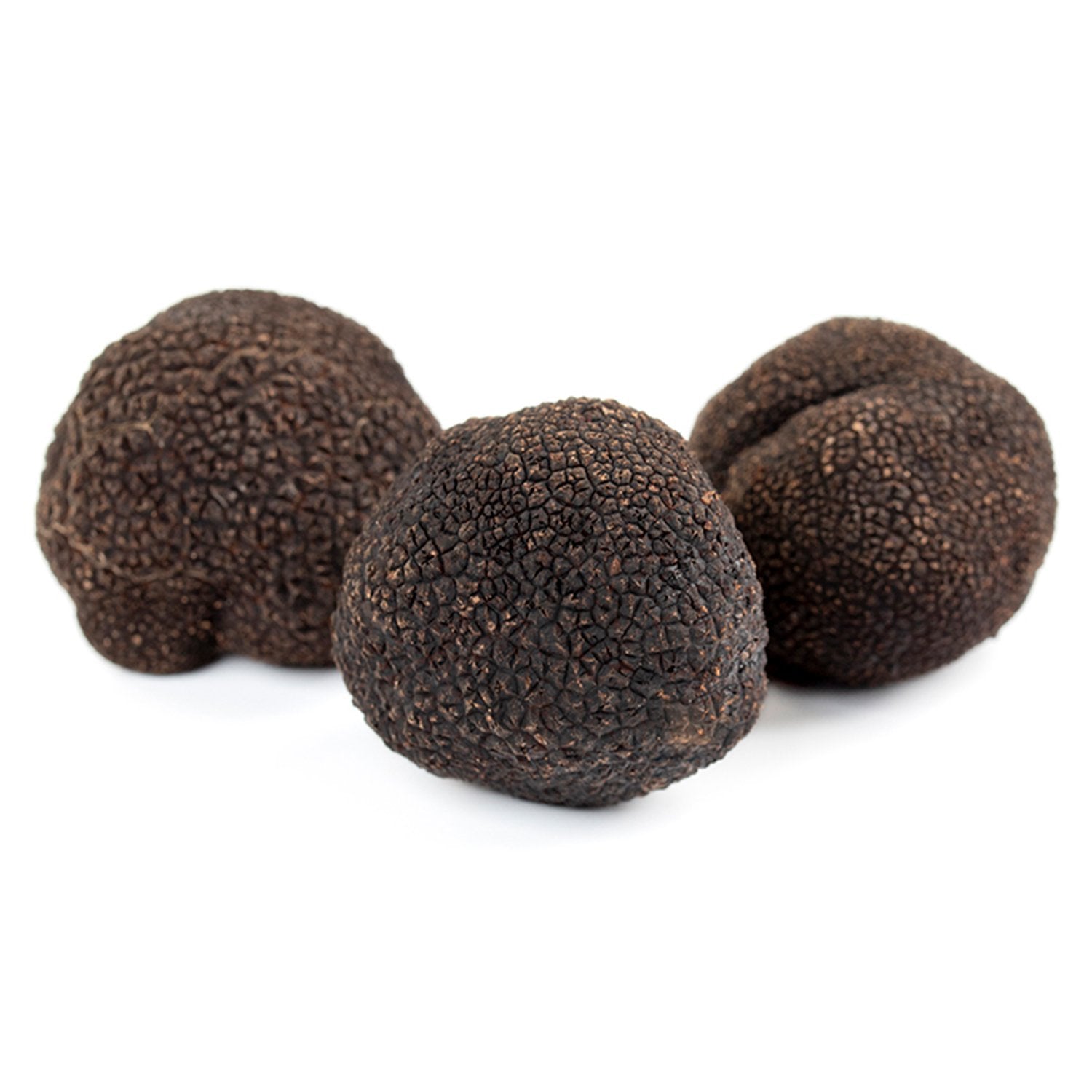 Tòfona negra - Tuber Melanosporum