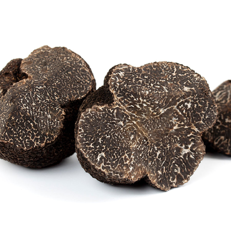 Comprar trufa negra fresca Tuber melanosporum – Petramora