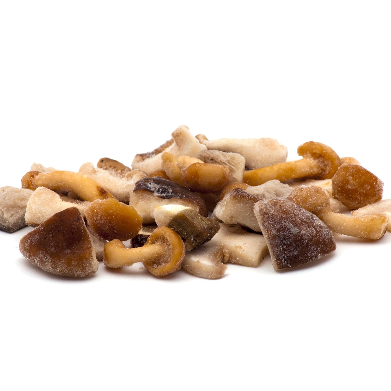 Mezcla de setas de cultivo con Boletus Edulis (10%) congelada