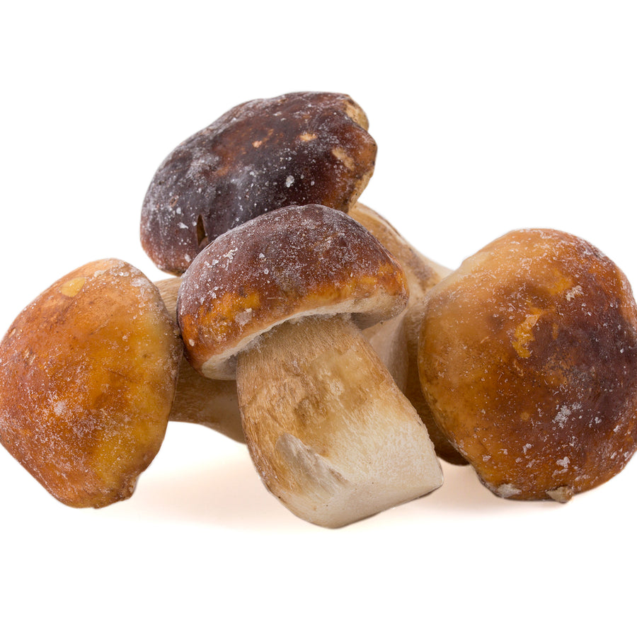 Boletus congelados enteros