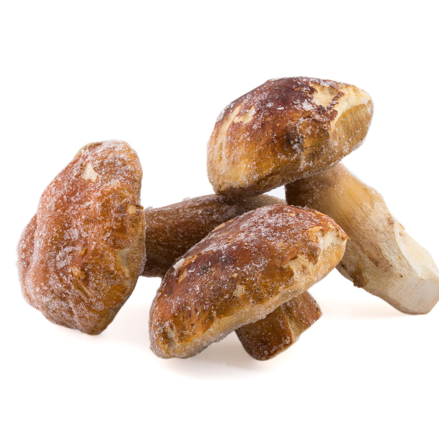 Boletus congelados enteros