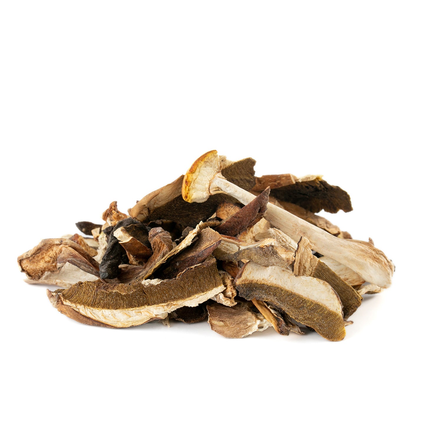 Boletus silvestre deshidratado