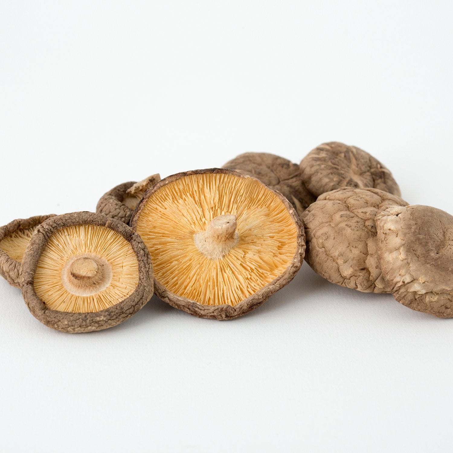 Shiitake deshidratado
