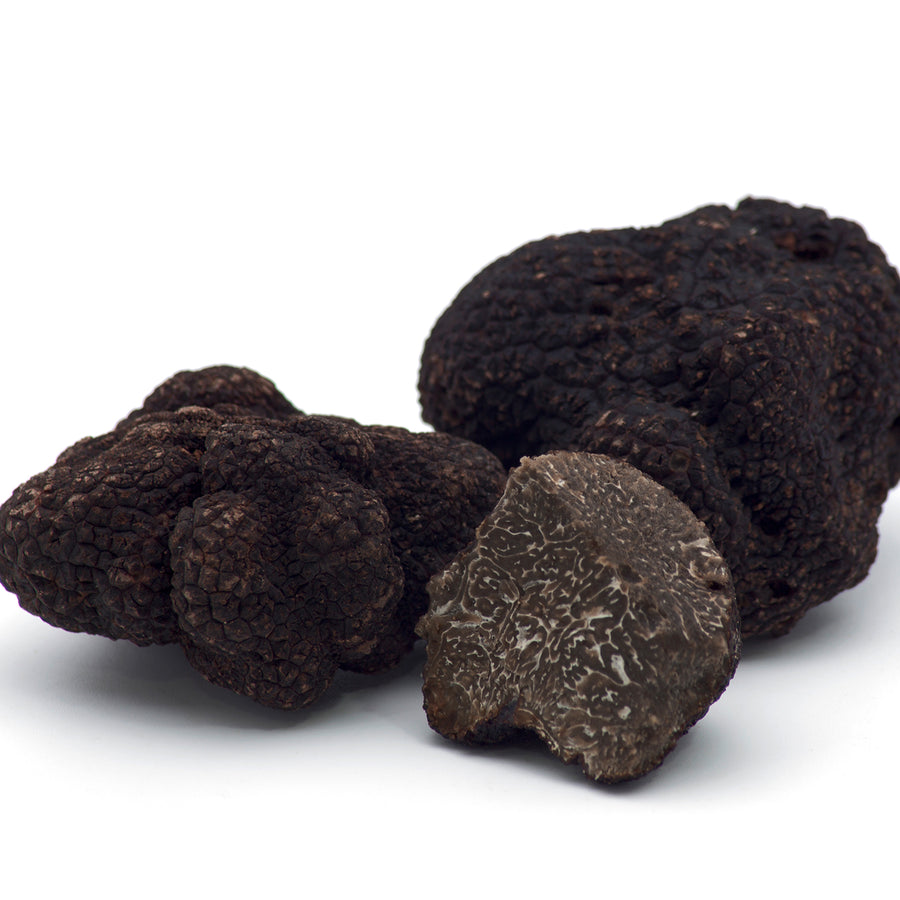 Trufa Negra - Tuber Melanosporum