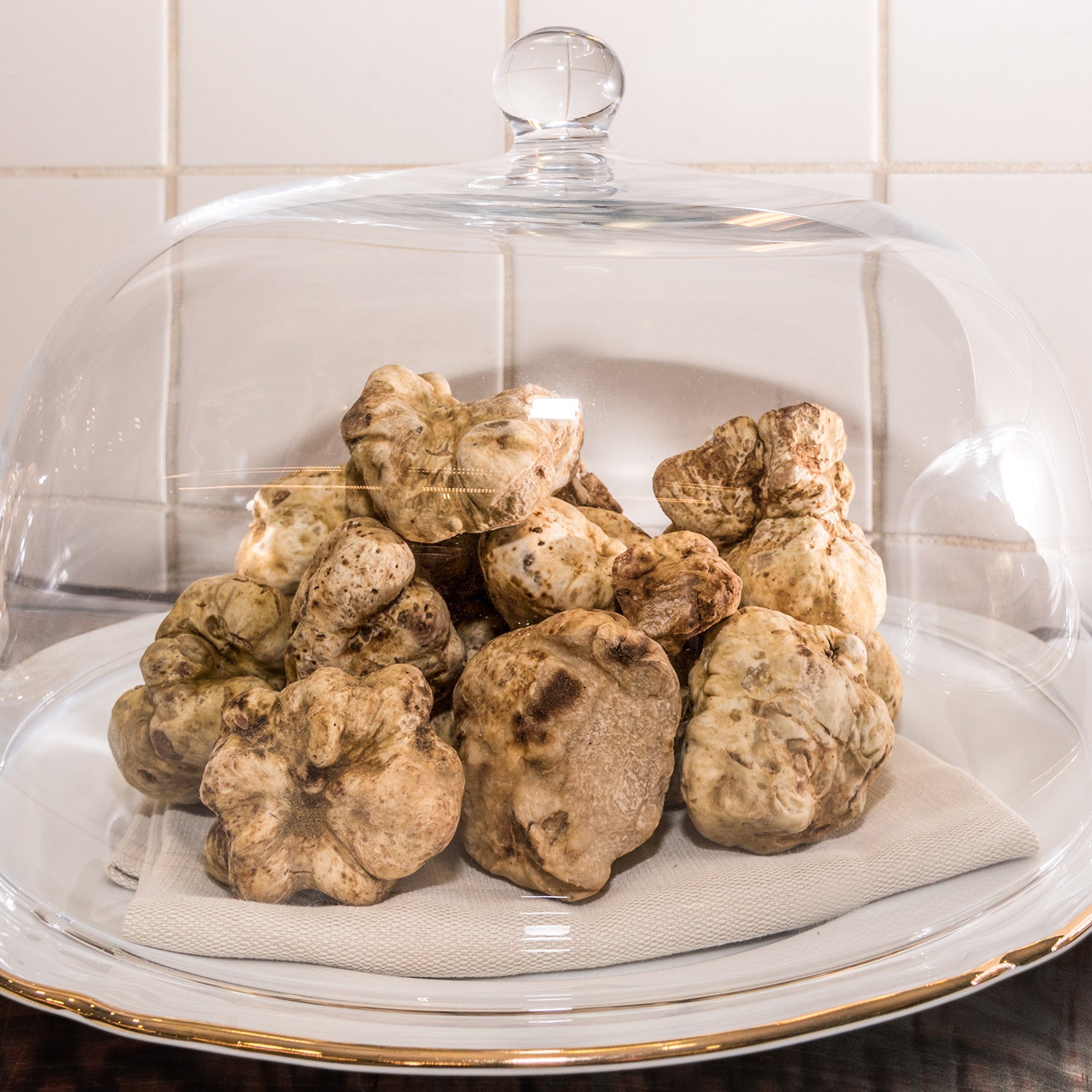 Trufa Blanca - Tuber Magnatum