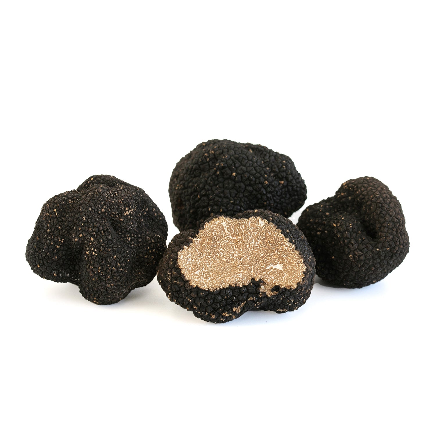 Trufa de Otoño - Tuber Uncinatum
