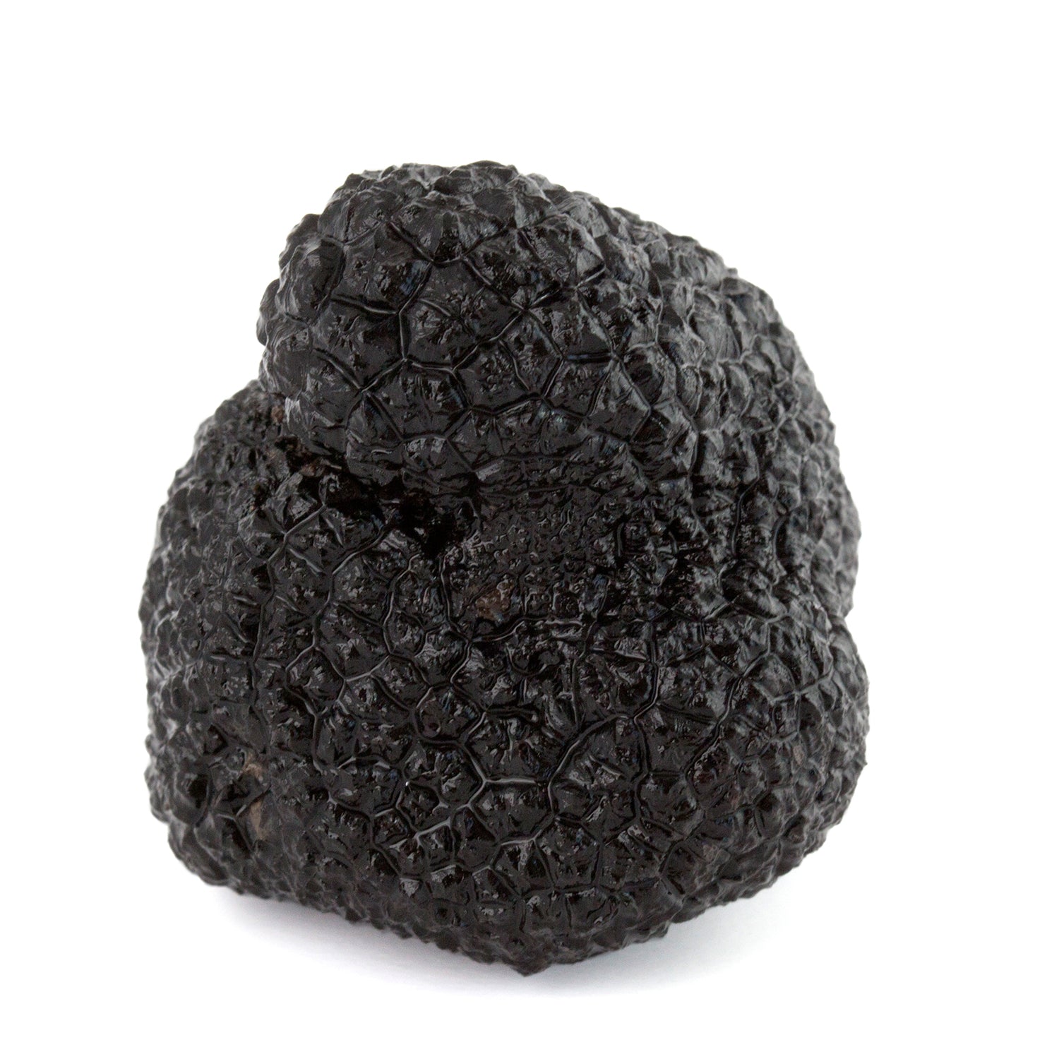 Trufa Negra Entera