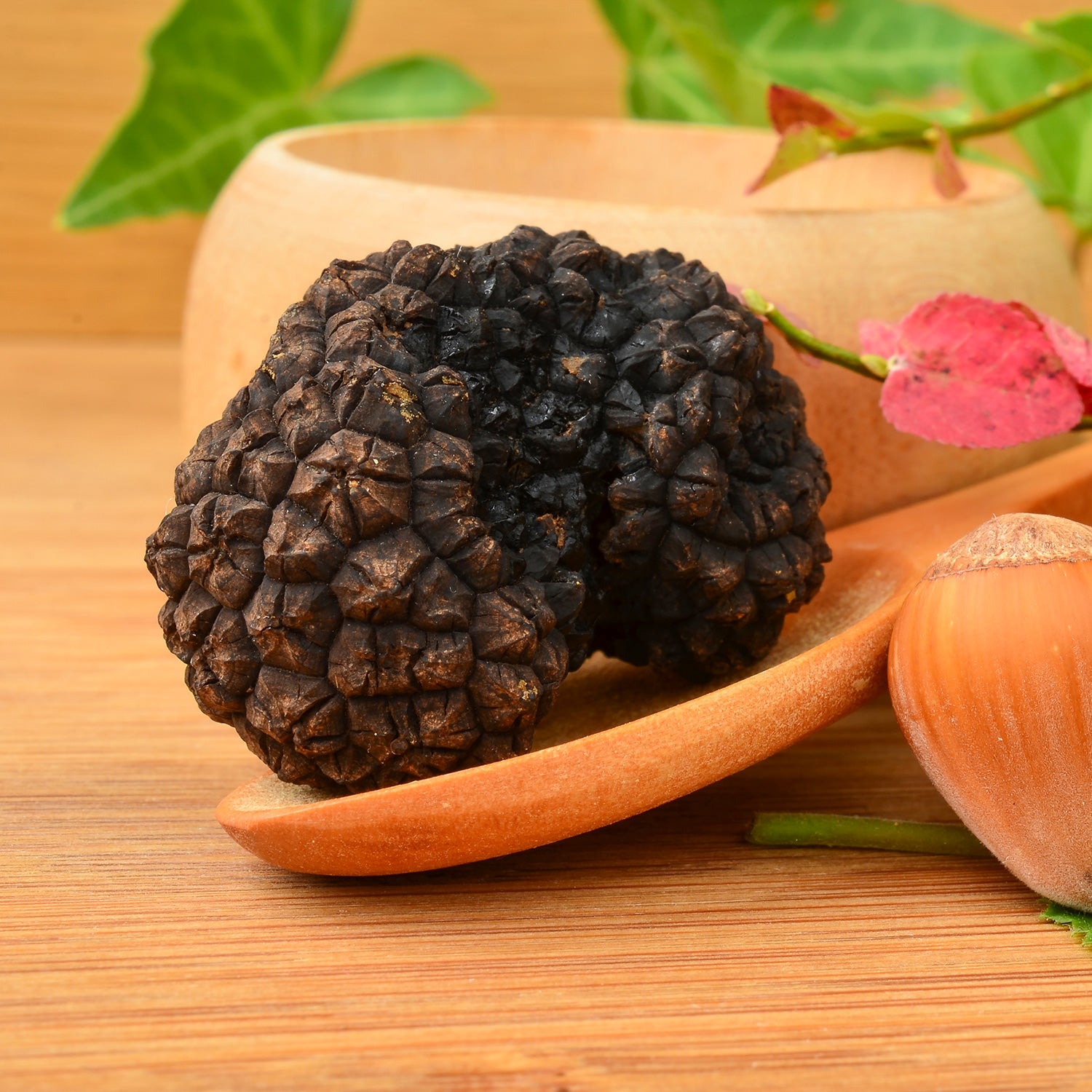 Trufa de Otoño - Tuber Uncinatum