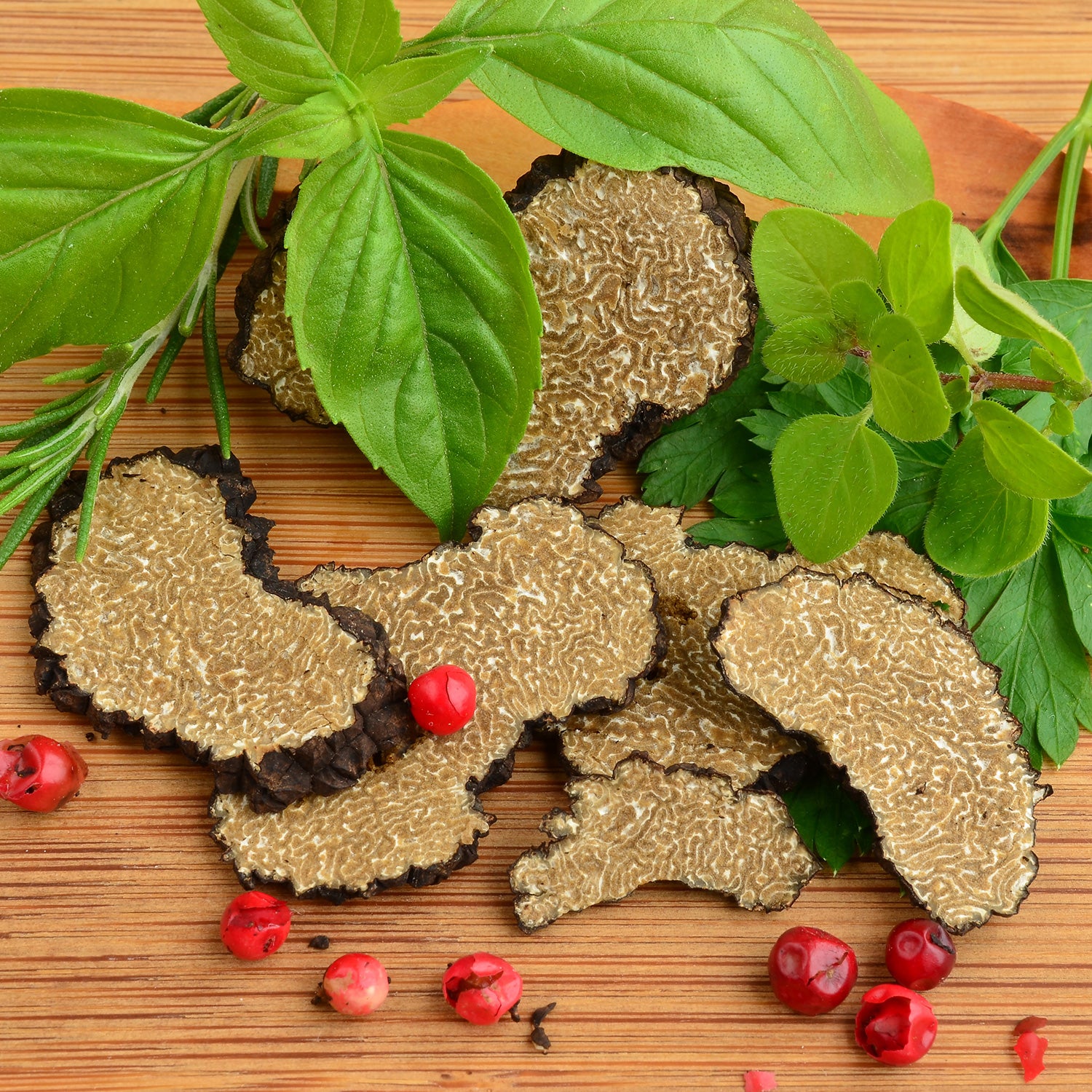 Trufa de Otoño - Tuber Uncinatum